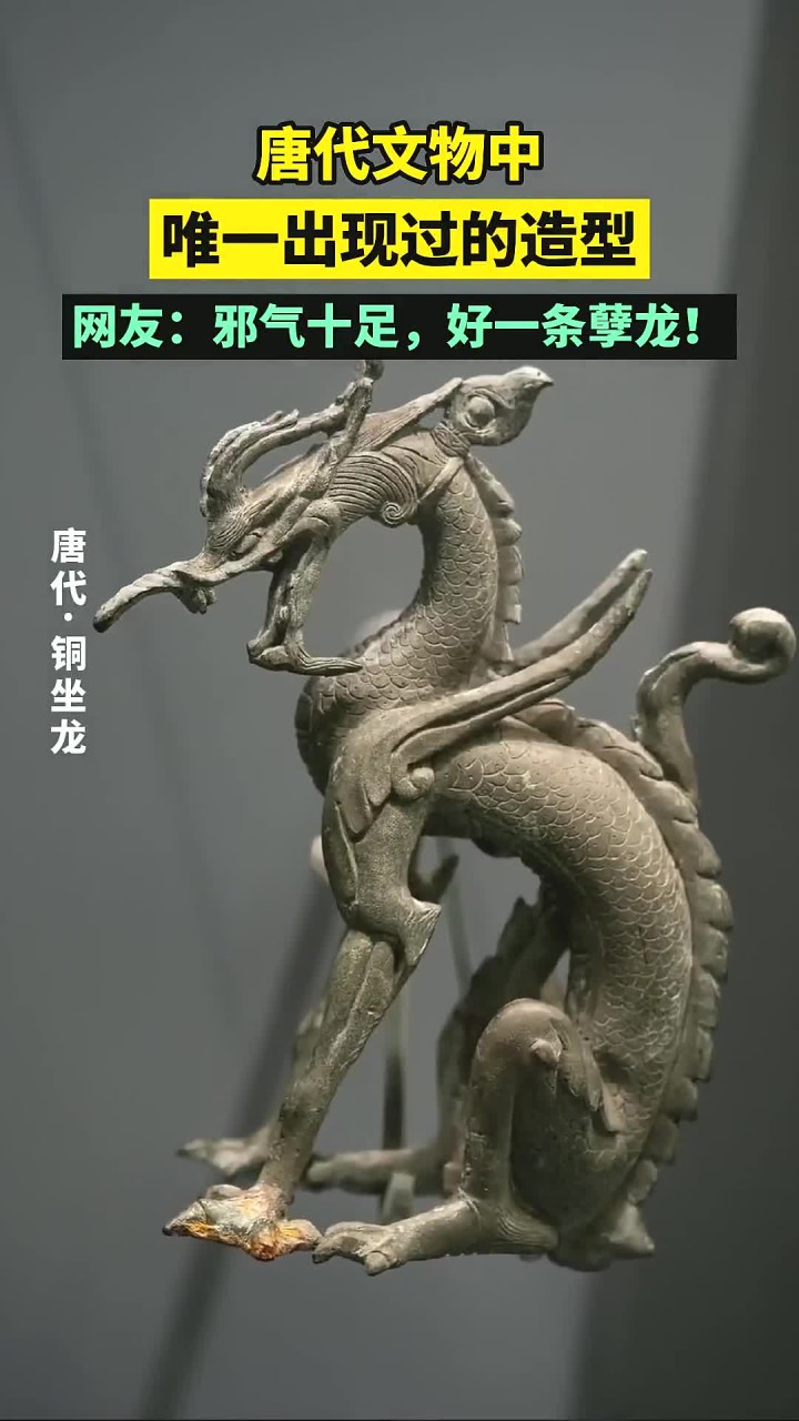 唐代龙形态的探索与研究