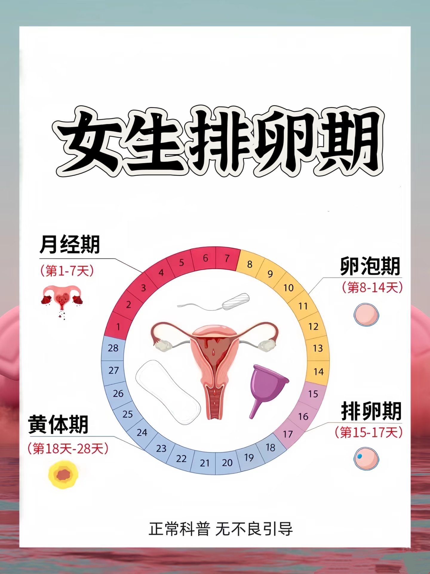 这段时间是受孕的黄金阶段哦～