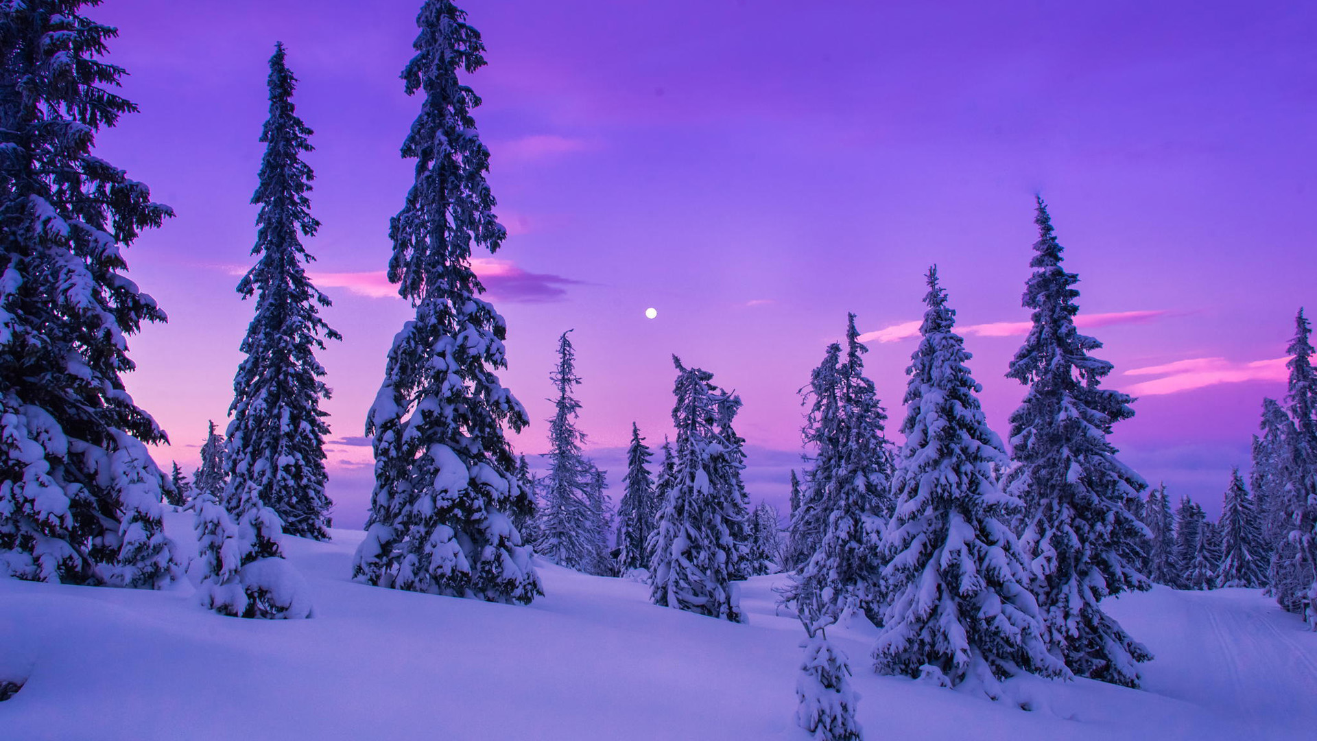 电脑桌面壁纸唯美雪景图片