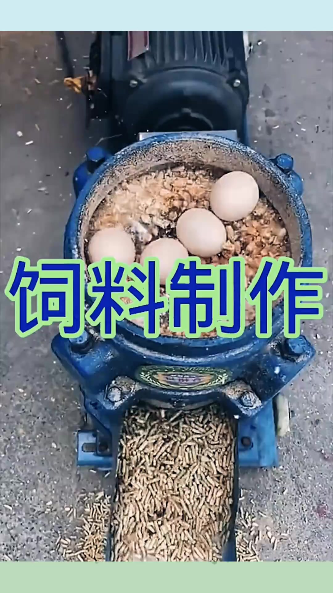 在农村做饲料加工怎么样赚钱(在农村做饲料加工怎么样赚钱呢)