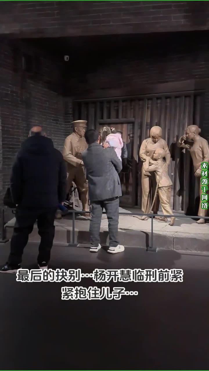 杨开慧烈士 令无数人落泪,丈夫革命尚未成功,幼小的孩子从此流落街头