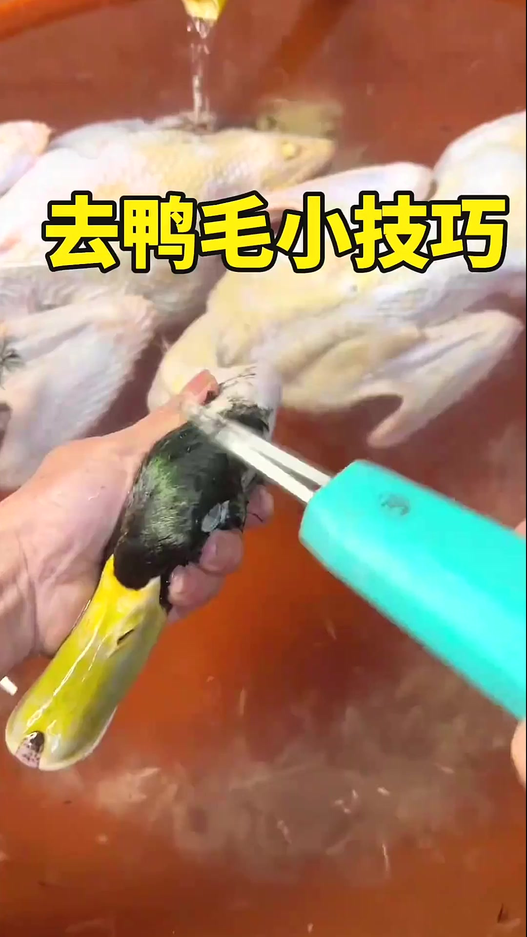 去鸭毛小技巧,拔得干干净净的