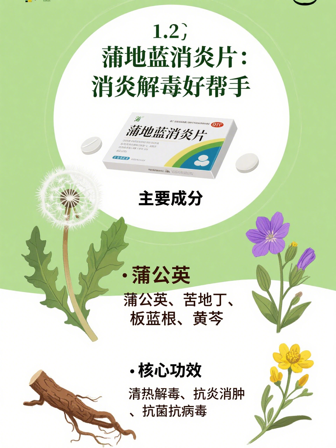 蒲地蓝消炎片:消炎解毒的好帮手