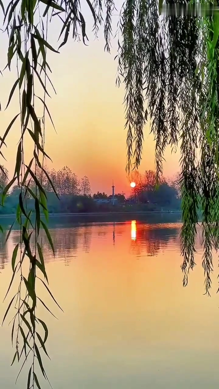 夏日旅行,清新的早晨,太阳透过空气照射到树叶上,到处都散发着
