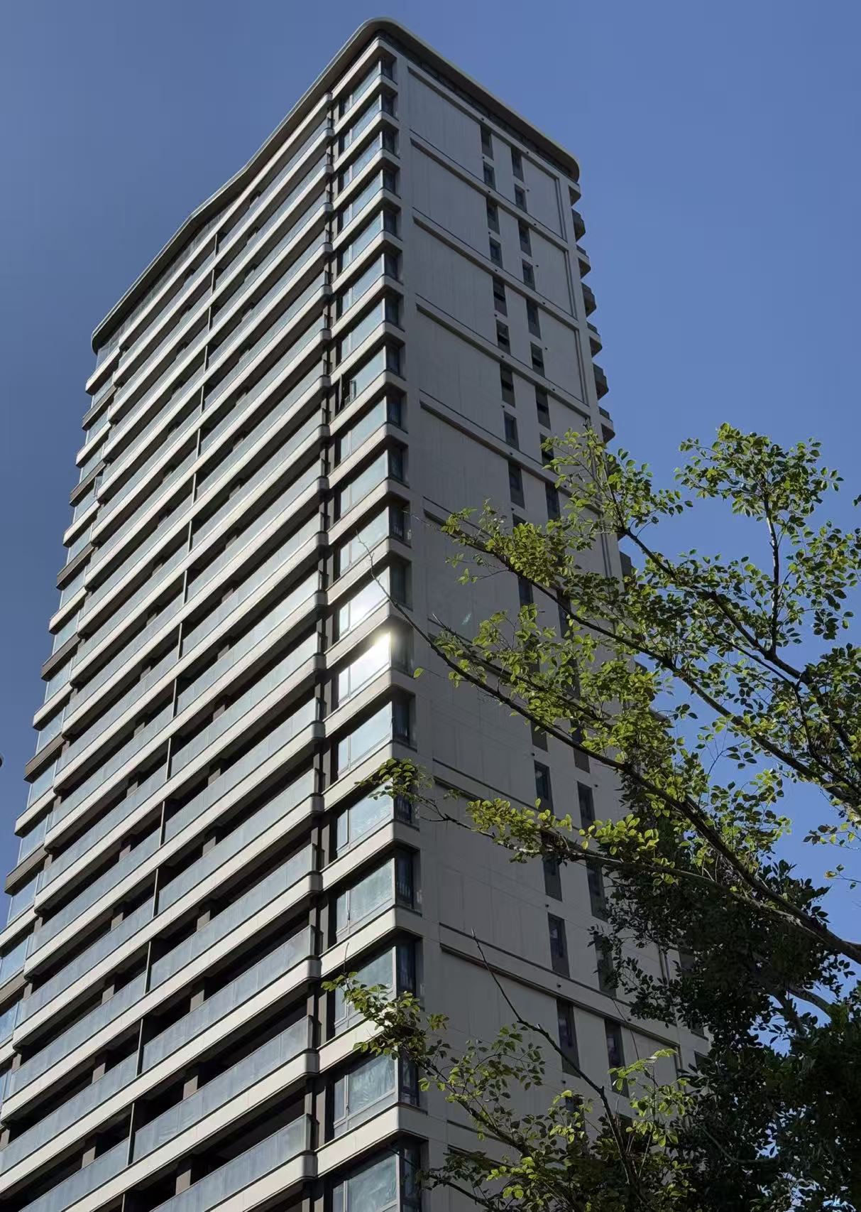 雨后放晴湖边沿岸一碧万顷沿湖漫步彷佛闯进了一个天然画卷目之所