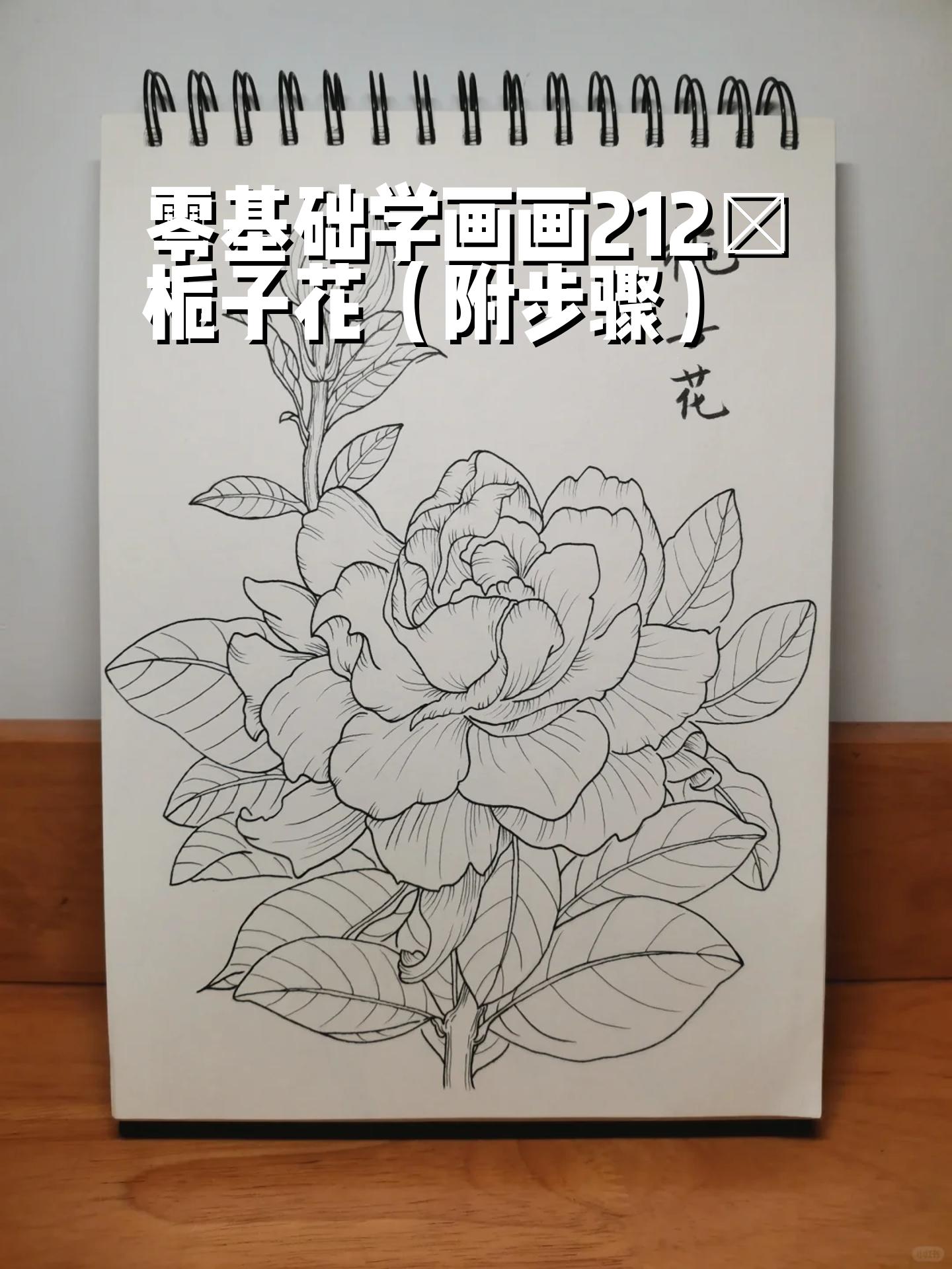 零基础学画画212～栀子花(附步骤) 临摹《自在飞花》花 	  #画画