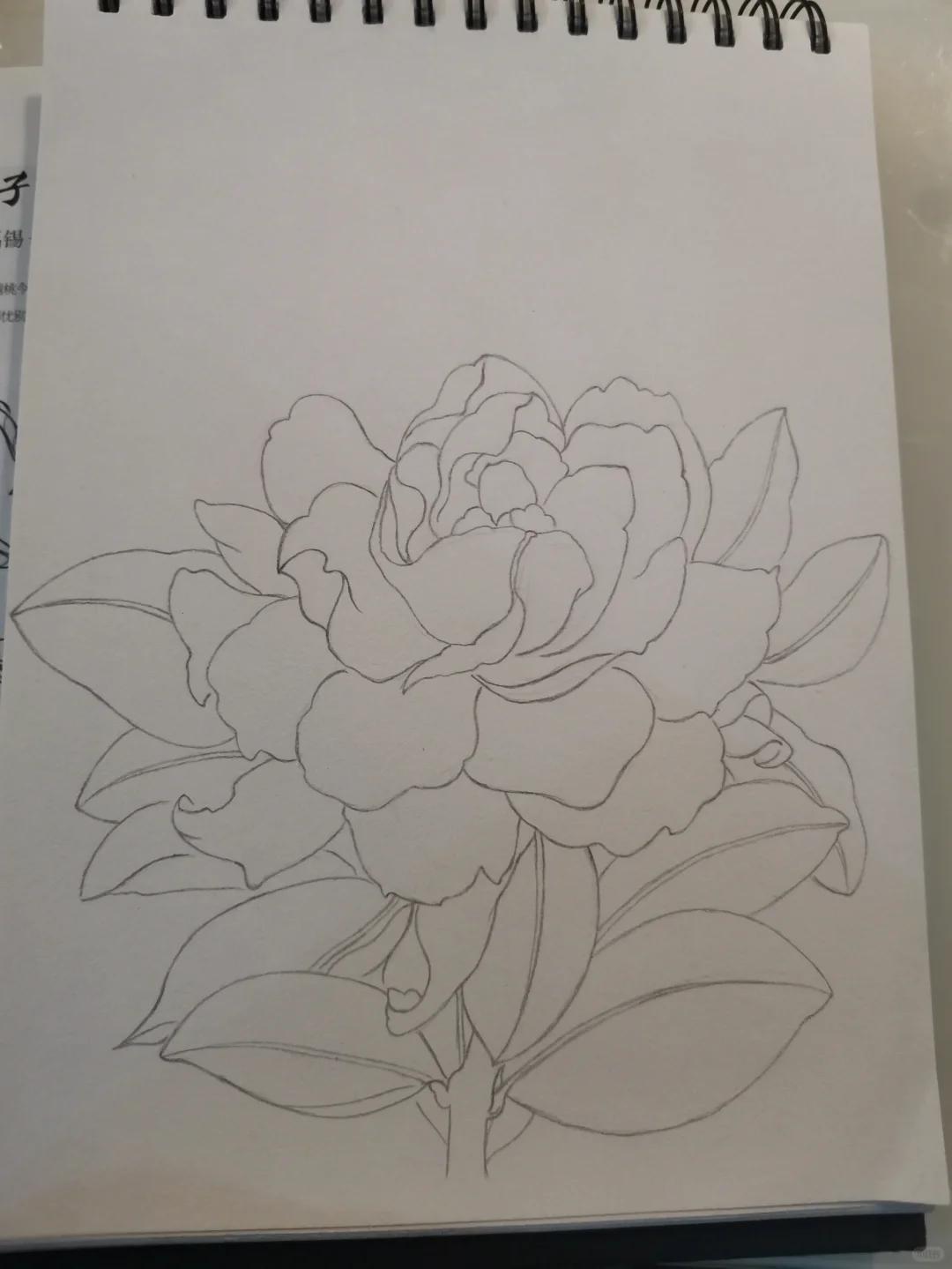 零基础学画画212～栀子花(附步骤) 临摹《自在飞花》花 	  #画画