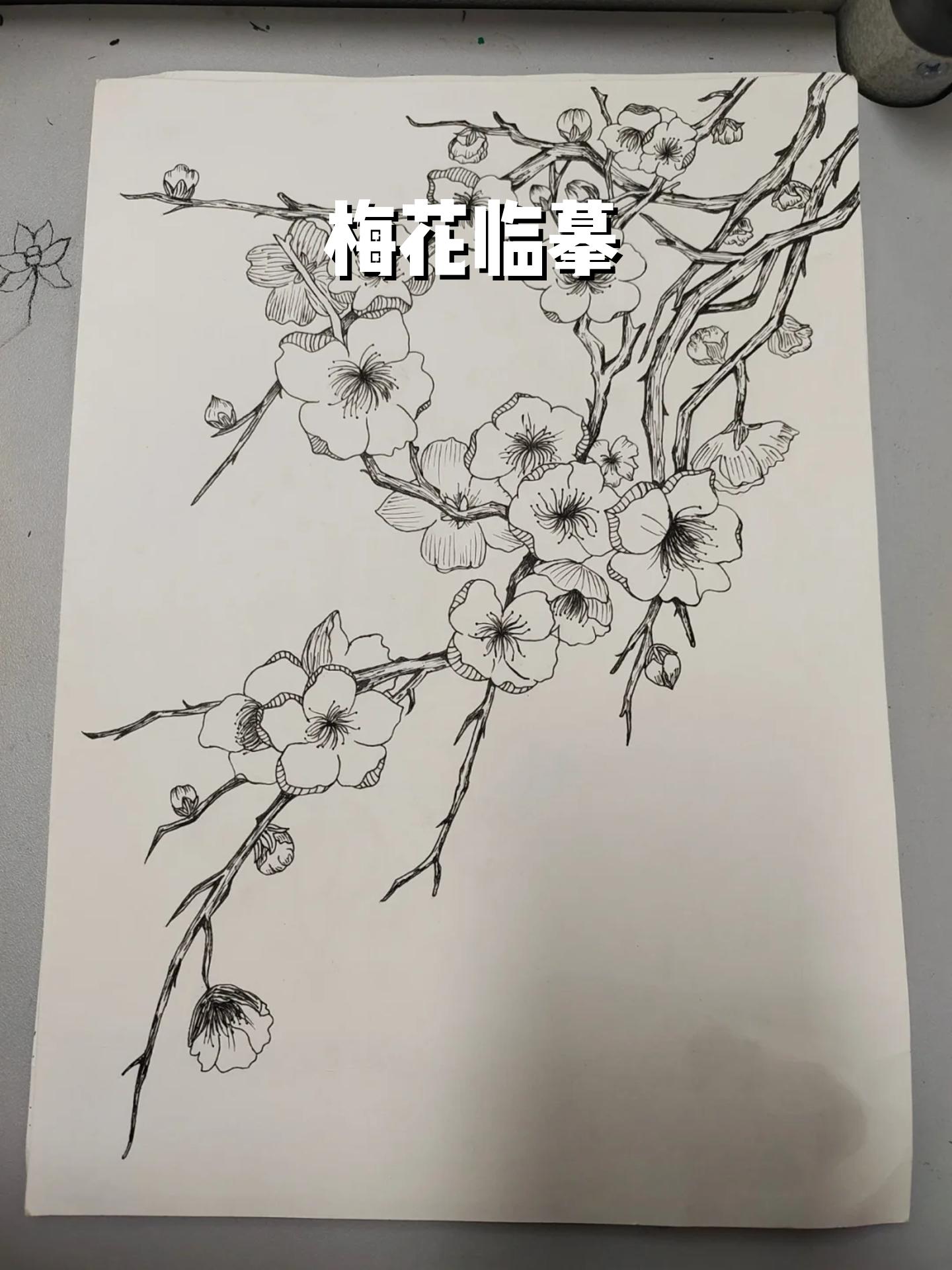 梅花彩铅画教程图片