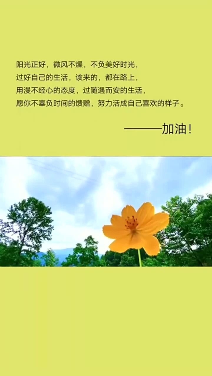 愿今天的你不负阳光(愿今天的努力不负将来的你英语)