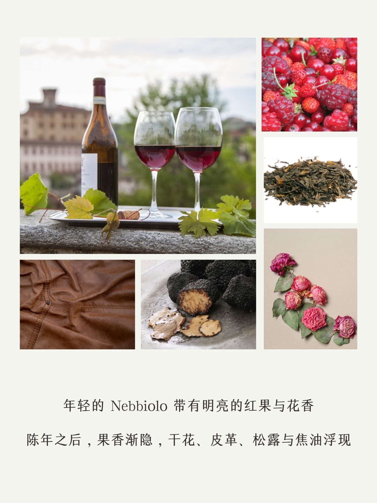 从斑驳壁画到手工皮鞋从中世纪石墙到发酵风物