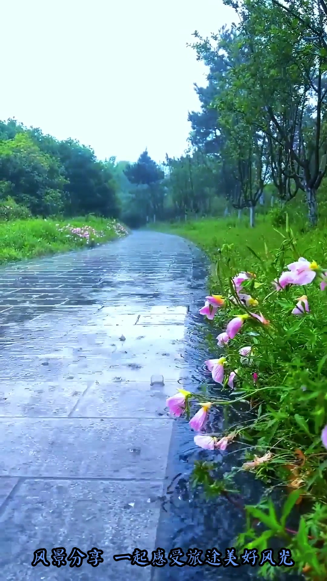 夏日旅游,每次下雨的时候,看着雨中的风景,渐虚隐实,才明白苏