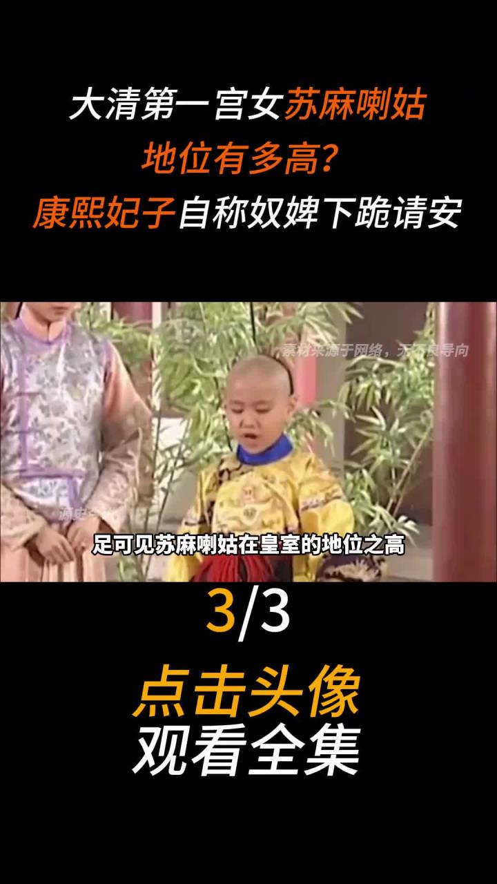 妃子都不敢惹苏麻喇姑图片