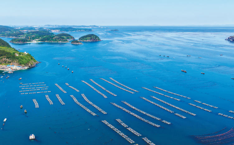 海上牧场