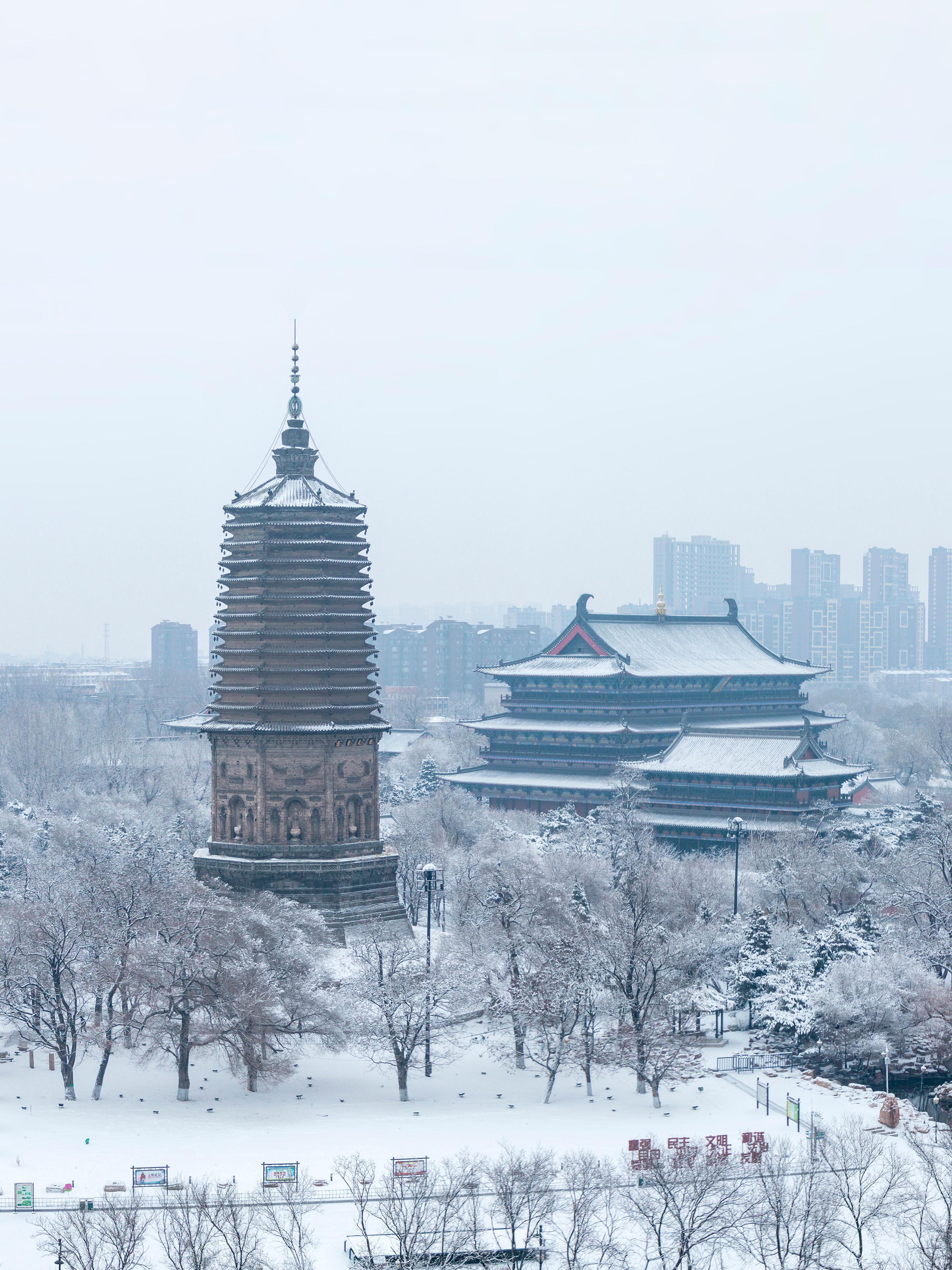 辽阳草坪
