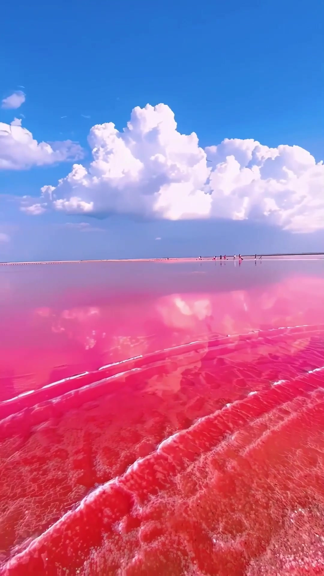 端午旅行,被人艾特看粉色的海,真的是一件超级浪漫又幸福的事旅