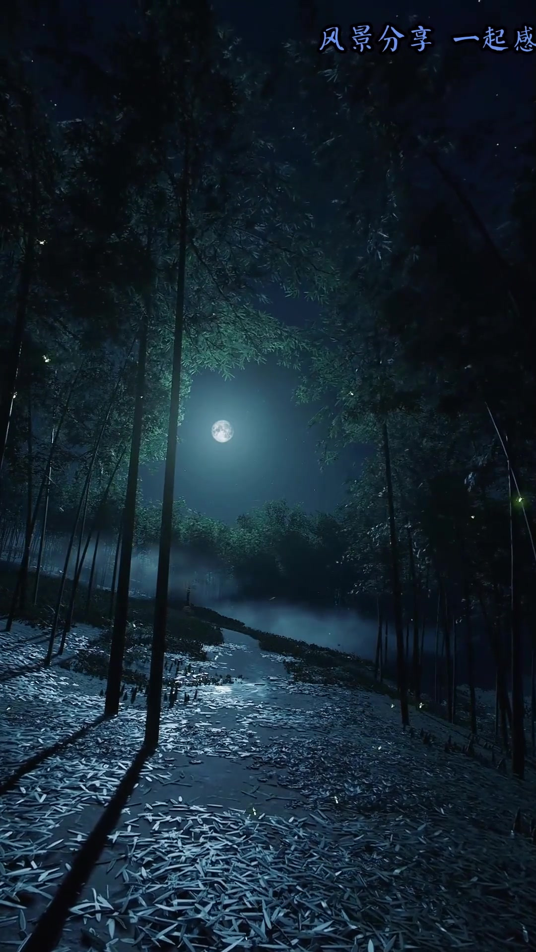 爱上旅游,晚风吹动着竹林,月光拉长的身影,萤火虫 一闪闪