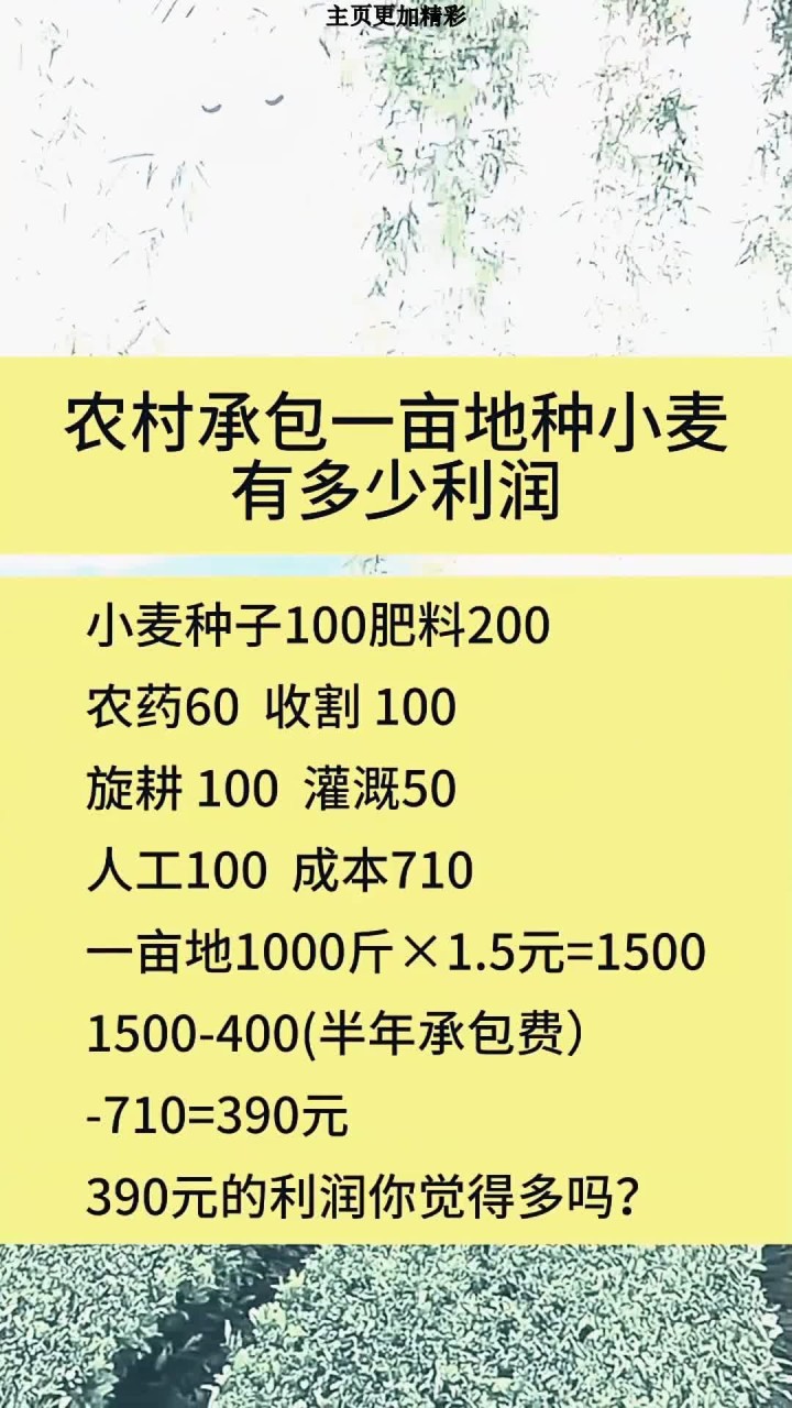 山东一亩小麦产多少(山东小麦亩产量一般能达到多少)