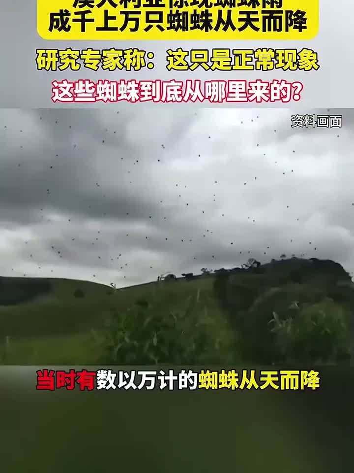 澳大利亚惊现蜘蛛雨,成千上万只蜘蛛从天而降,专家:这是正常现