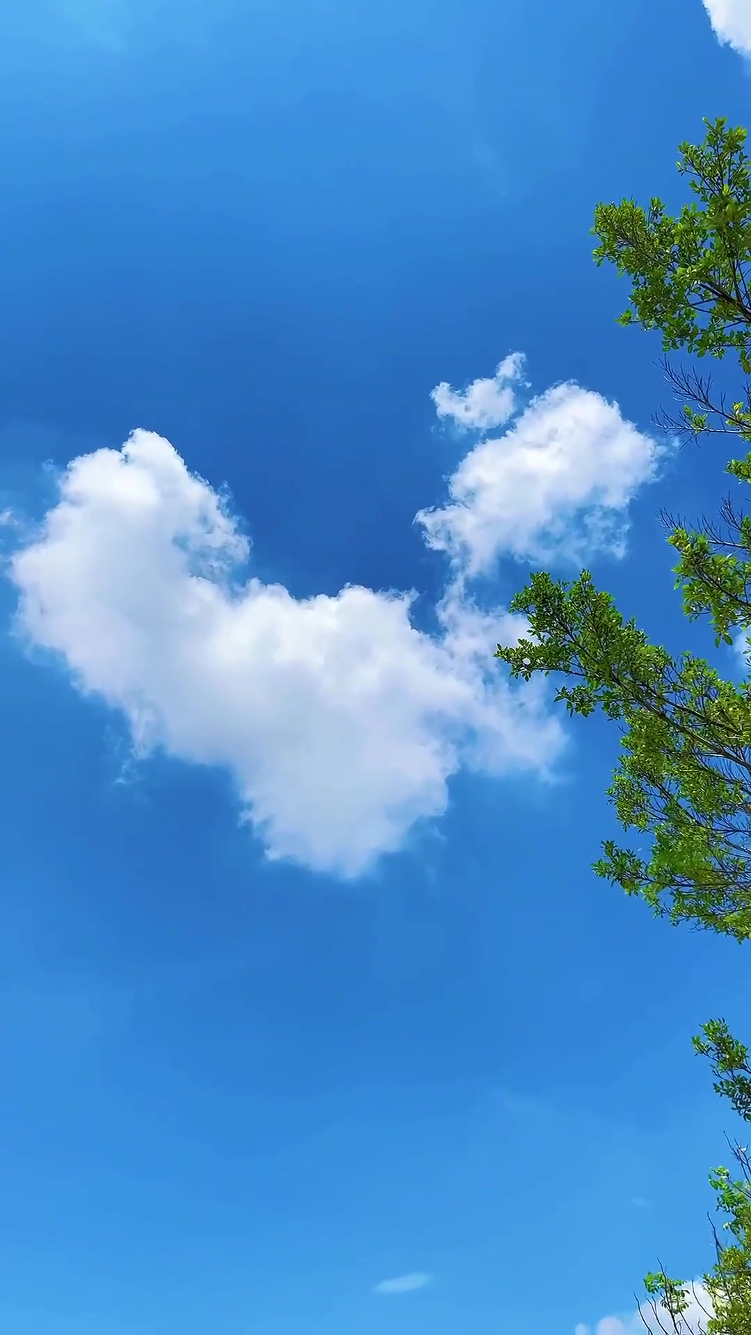 夏日旅游,如果有人给你发天空的照片,不要回好看,记得要说我