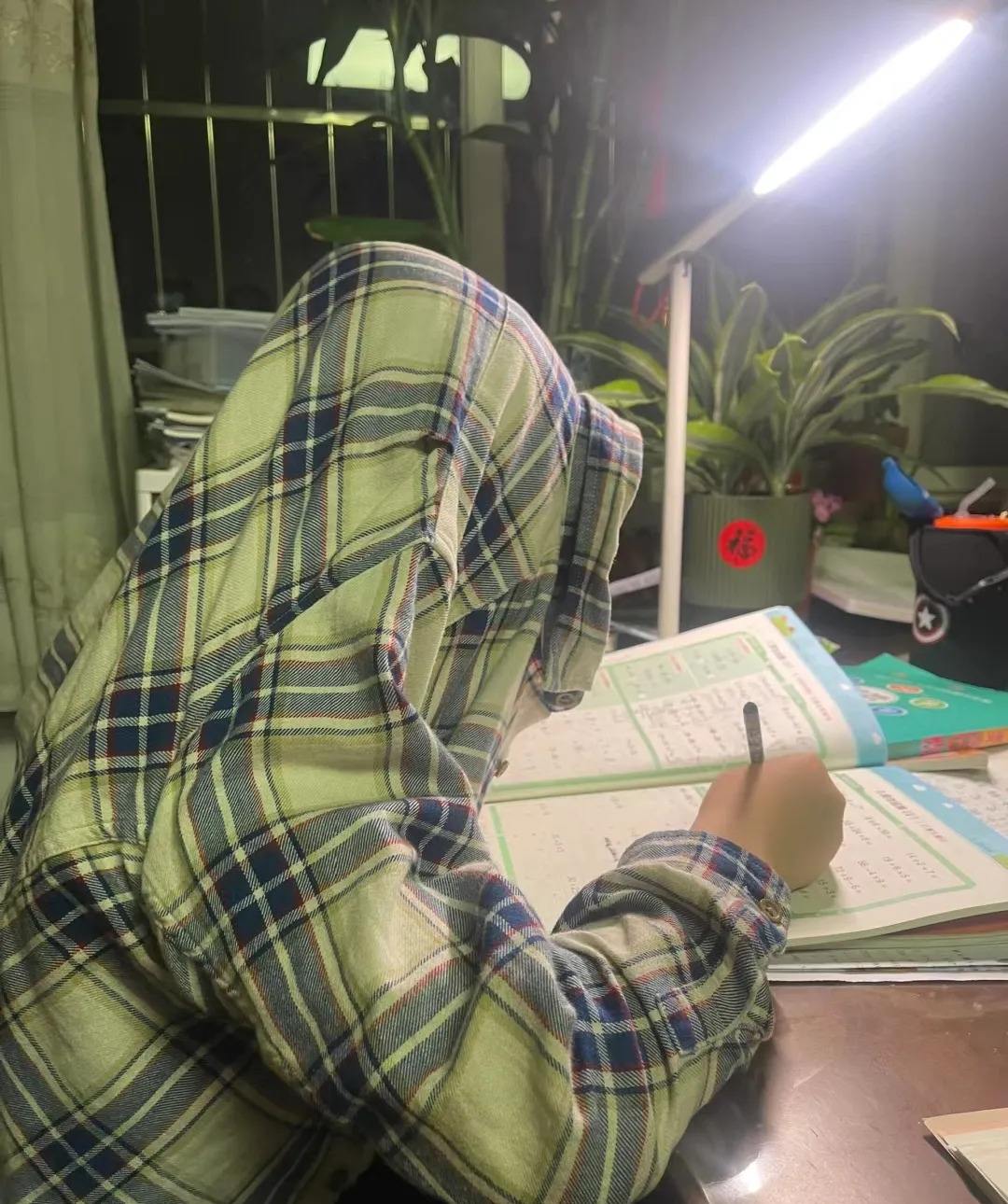 深夜写作业的中学生图片作业的照片不露脸横屏初中生在房间做作业图片
