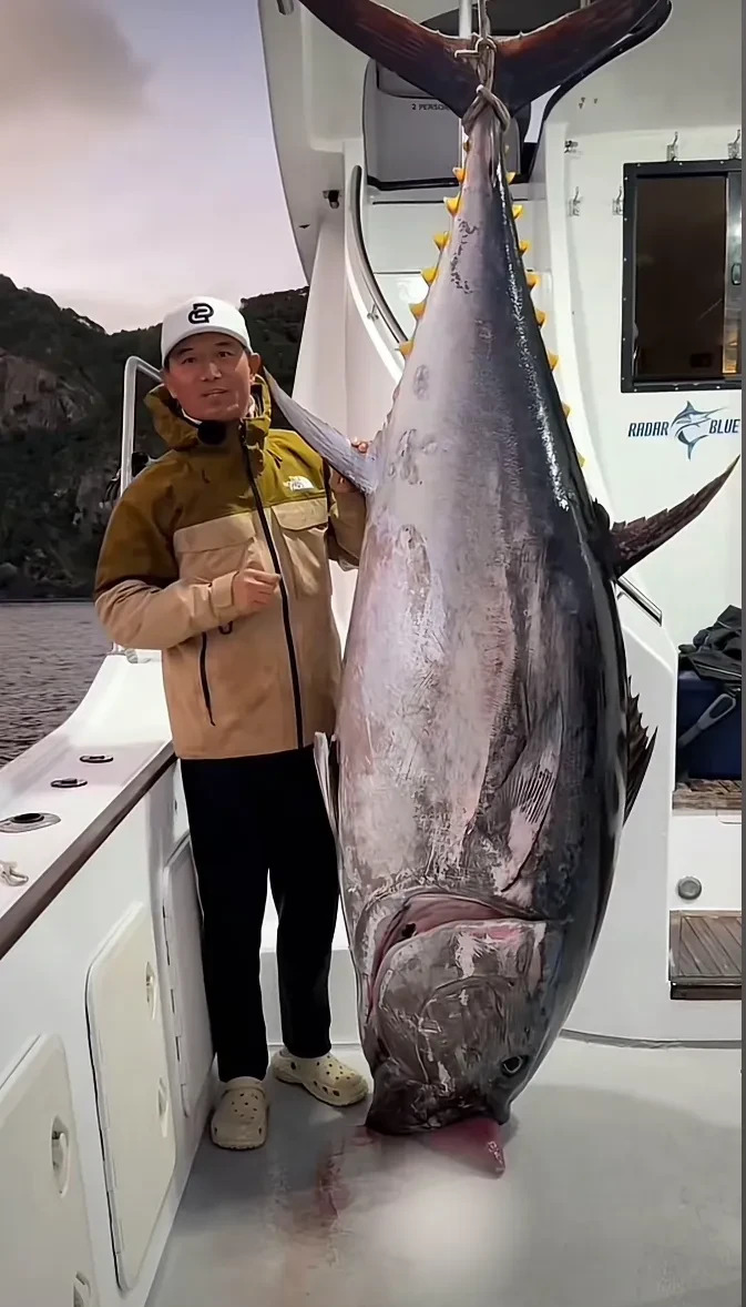 钓鱼达人天元邓刚要塌房了?