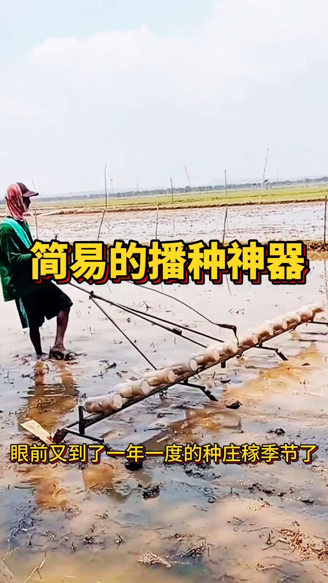 手工制作简易的播种神器