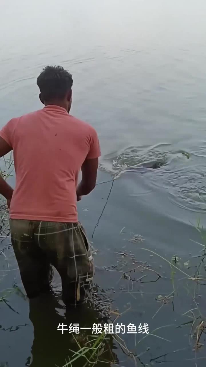 大哥钓到几十斤重的鲫鱼王,如此之大的鲫鱼,我还是第一次见