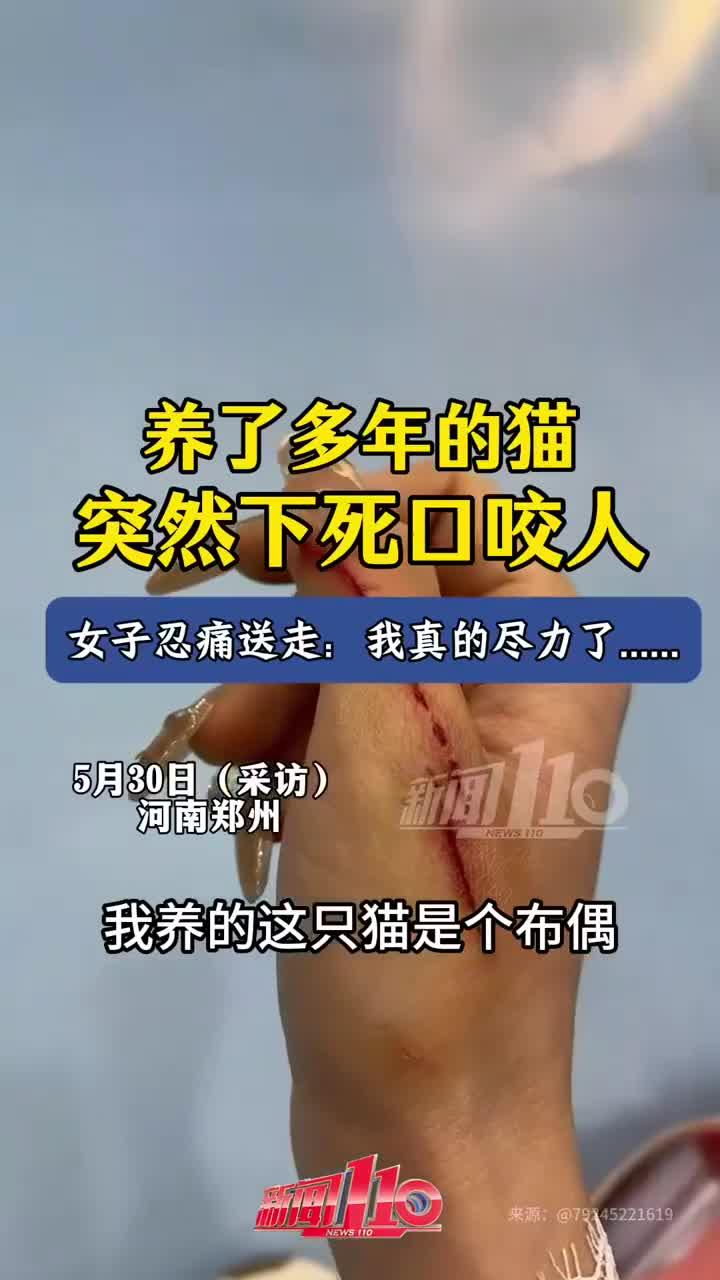 猫为什么咬人胳膊为什么在线 猫为什么咬人胳膊为什么在线