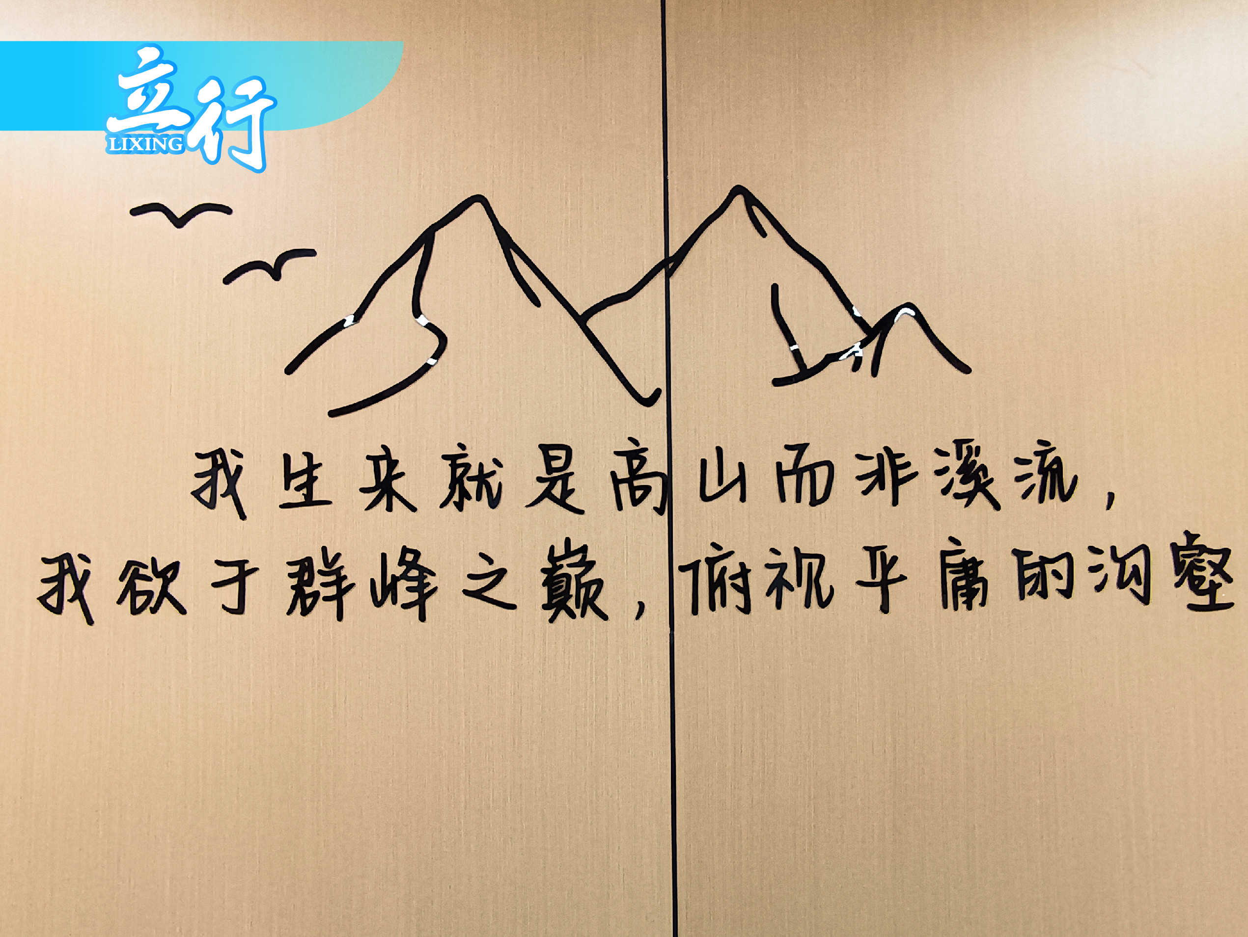 在济南这片充满机遇与挑战的土地上,无数复读生通过