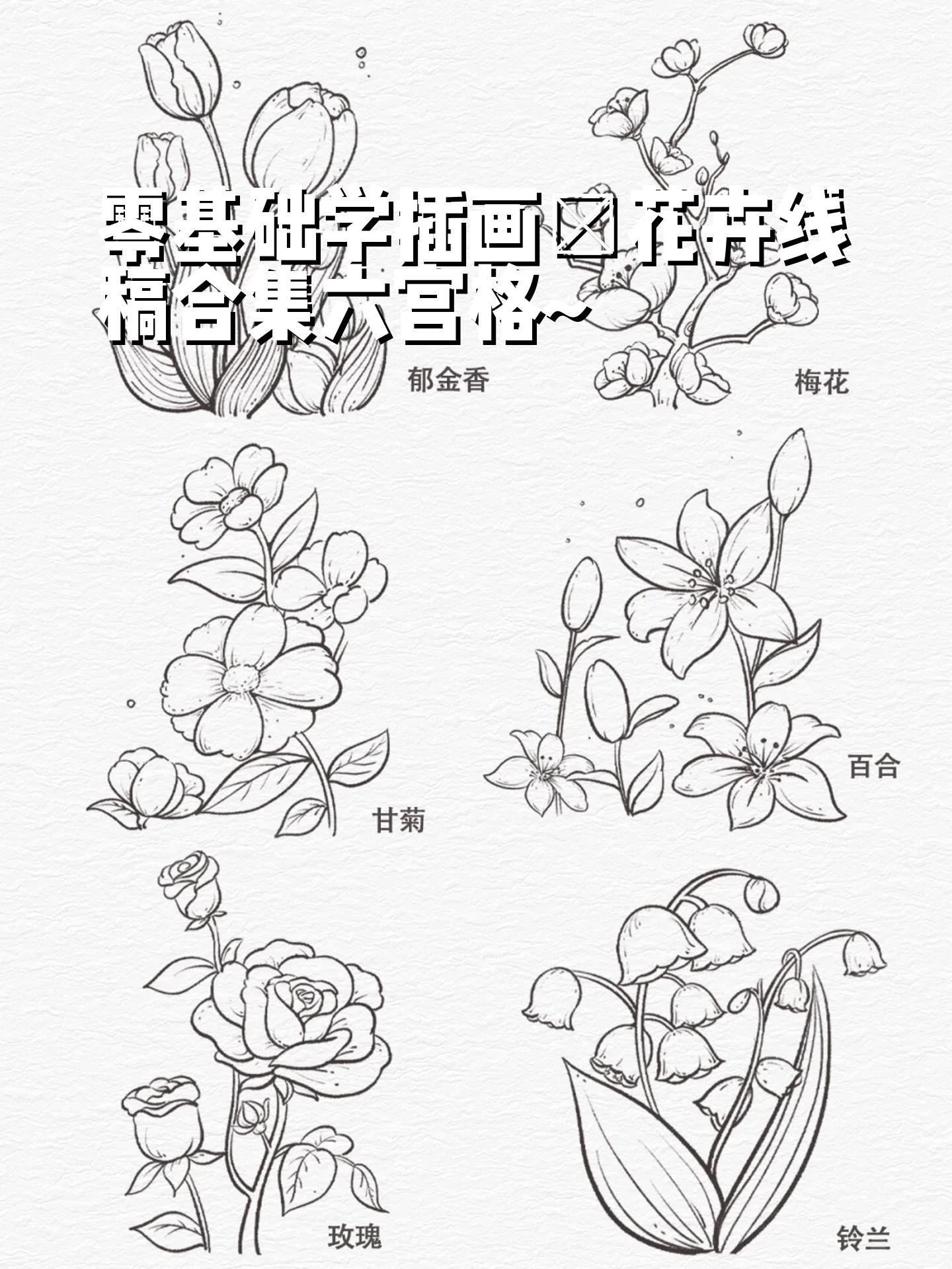 花卉线稿合集六宫格~