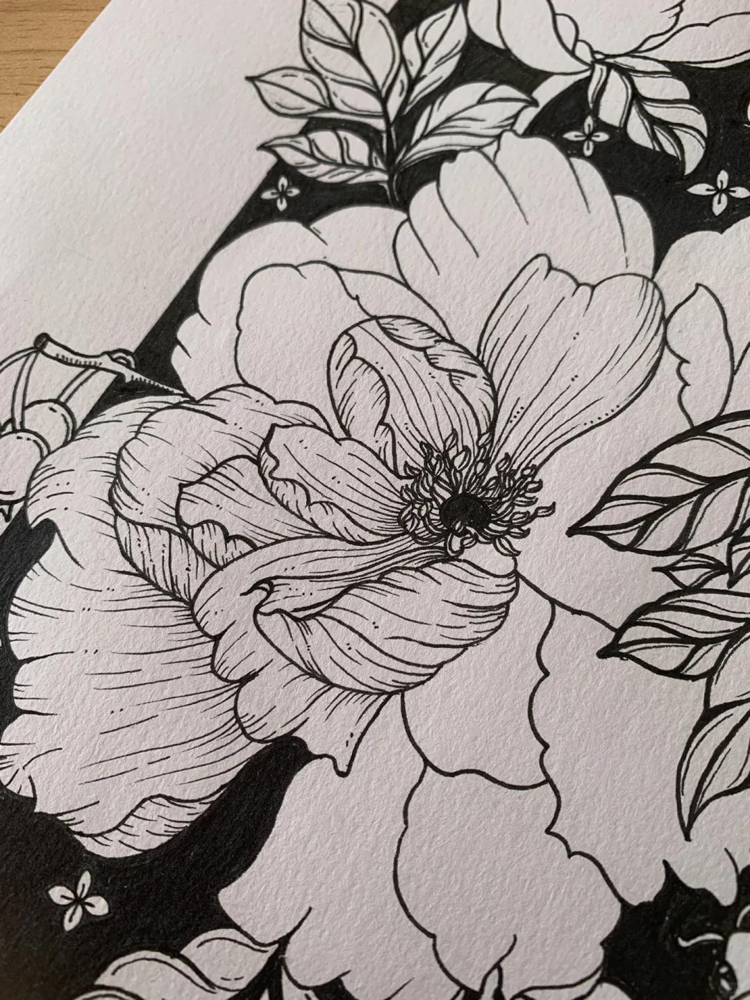 黑白线描花卉～牡丹 唯有牡丹真国色 ,花开时节动京城 后面有绘画过程