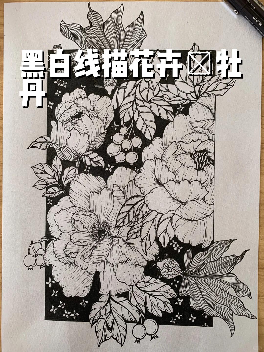 黑白线描花卉～牡丹 唯有牡丹真国色 ,花开时节动京城 后面有绘画过程
