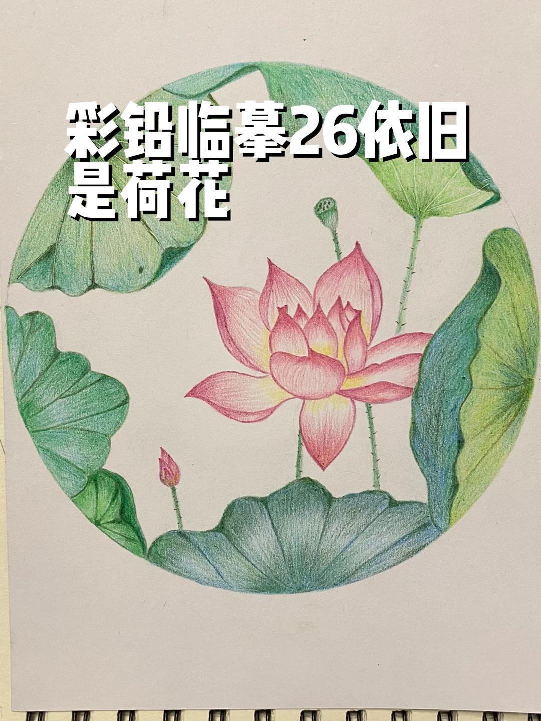 彩铅临摹26依旧是荷花 八月盛夏,荷花唯美 陆续画了四天,每天约2小时