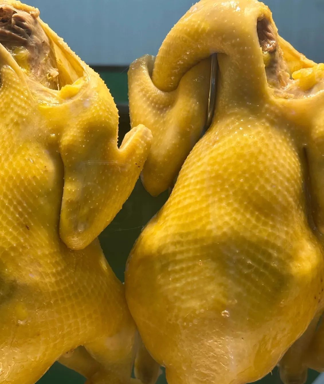 卖三黄白切香鸡发了小财 10年前,我在南方打工时,有一段时间不想进厂