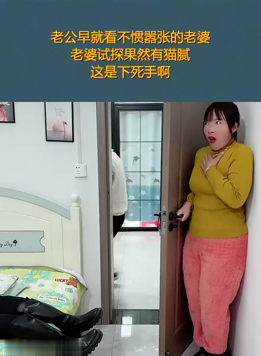 猫腻老婆图片