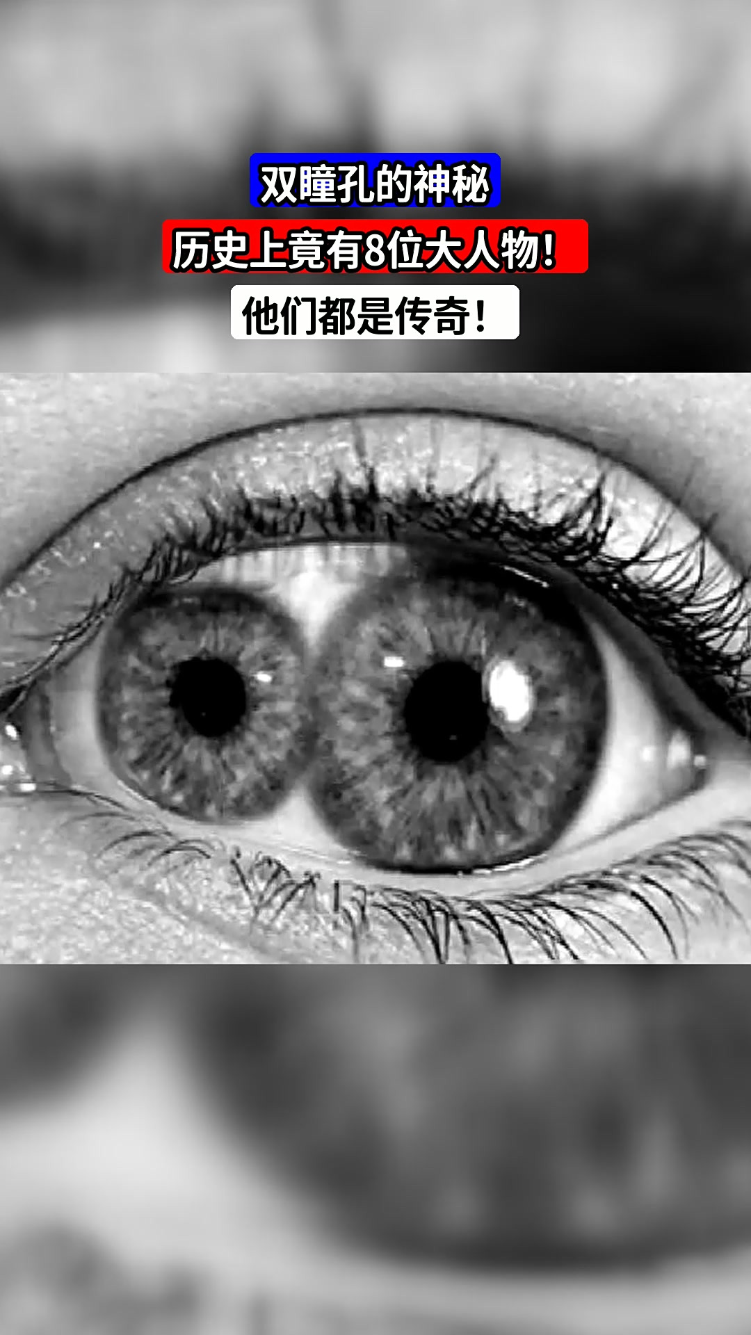 双瞳孔的神秘,历史上竟有8位大人物!他们都是传奇!