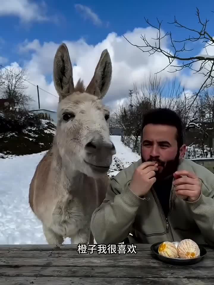 驴吃柠檬表情太逗了