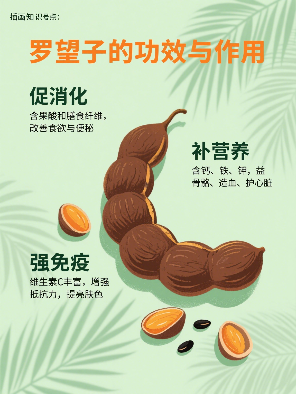 罗望子的功效与作用