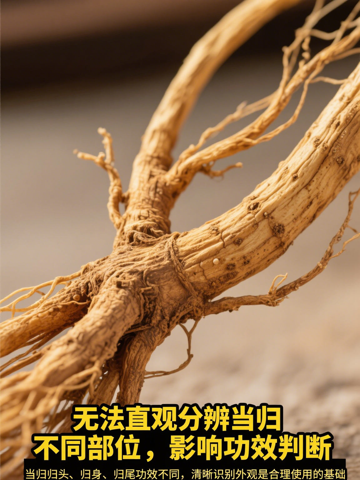当归图片 当我们看到当归图片时,会发现这种常见的中药材有着独特的