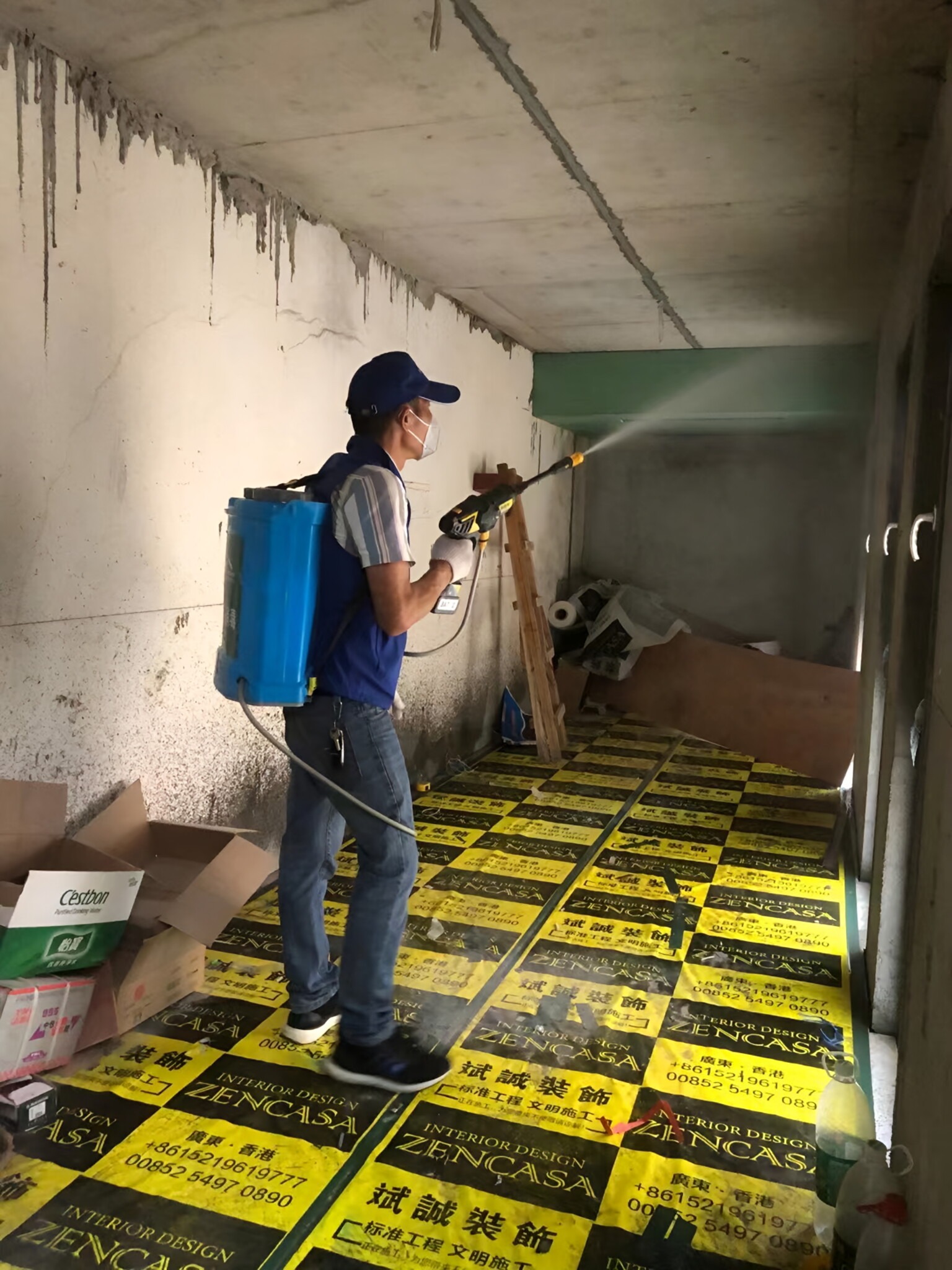 荔湾区办公室白蚁防治