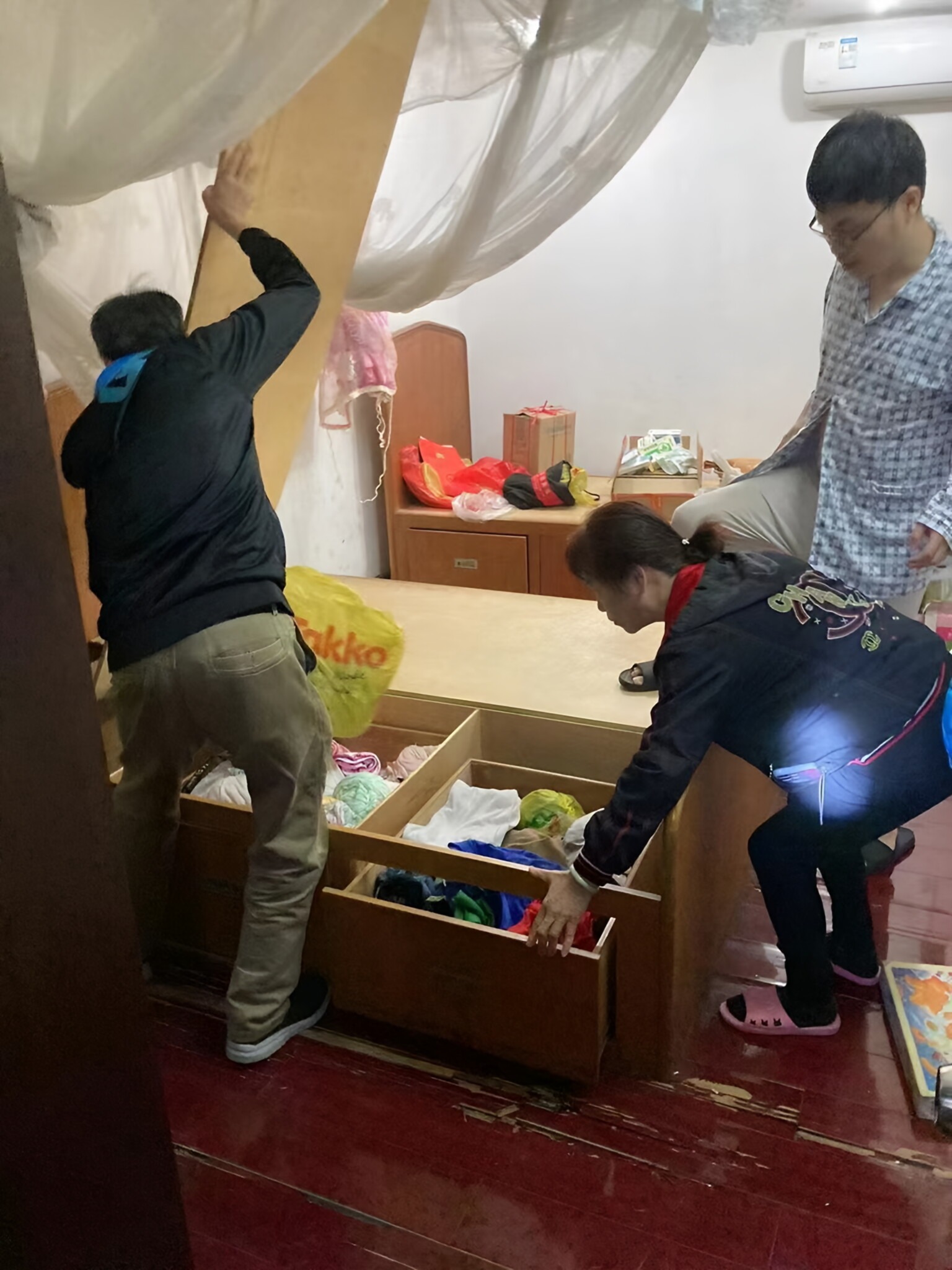了解白蚁的特性和防治流程是保持家居安全的关键哦