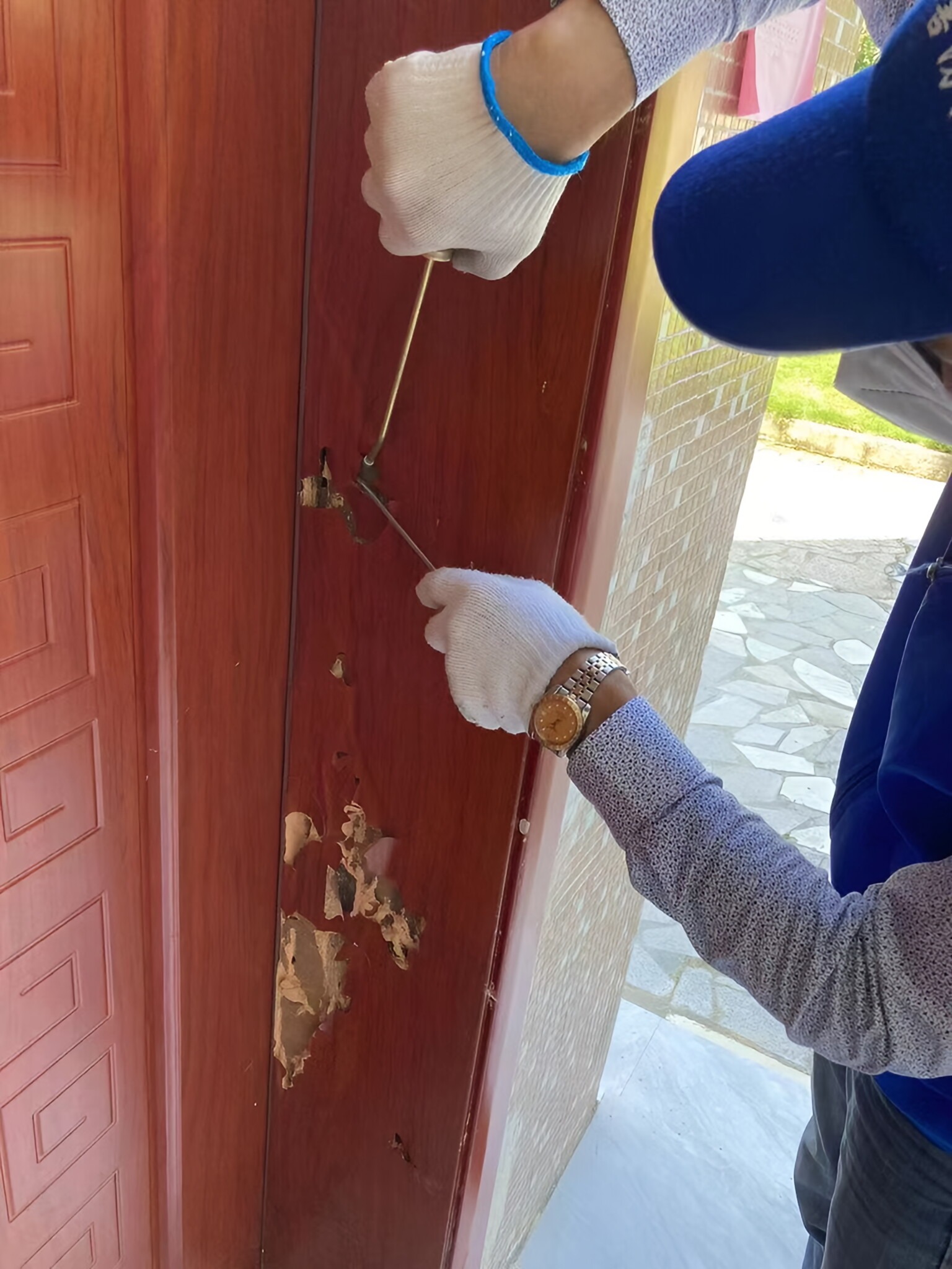 在虫害防治的领域白蚁绝对是个令人头疼的家伙它们不仅破坏木结构
