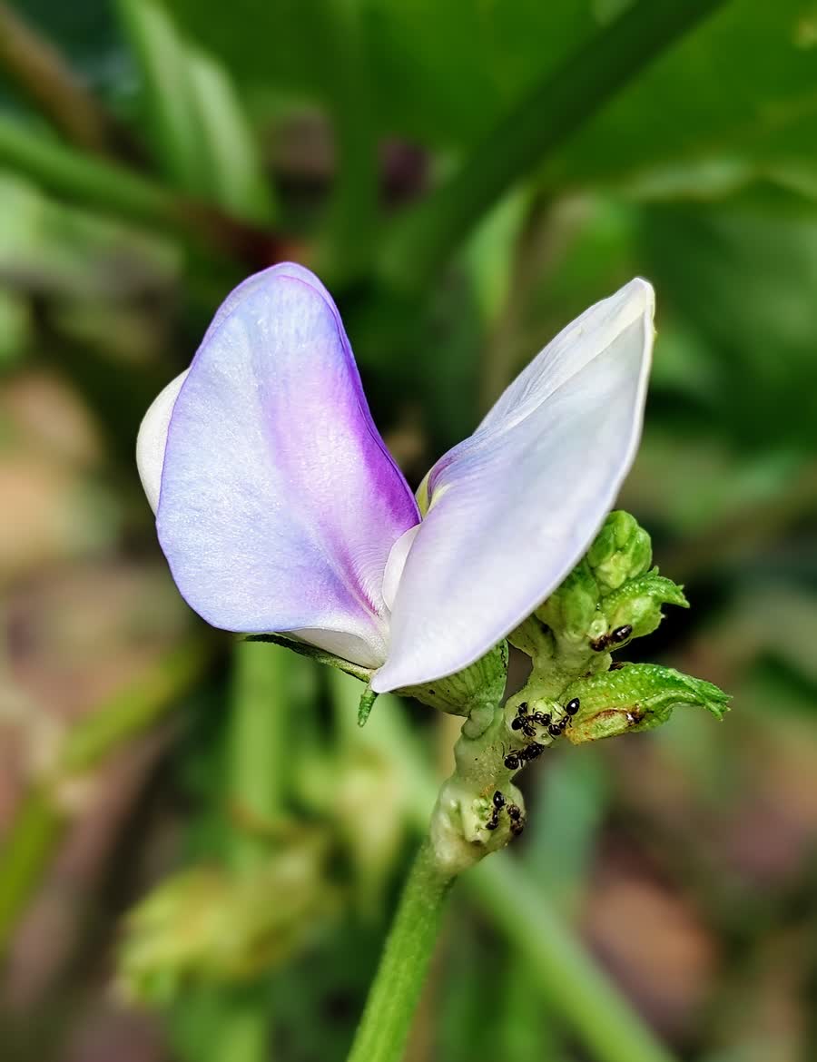 如果你在职场待过,你会发现,职场里有一类同事,能力