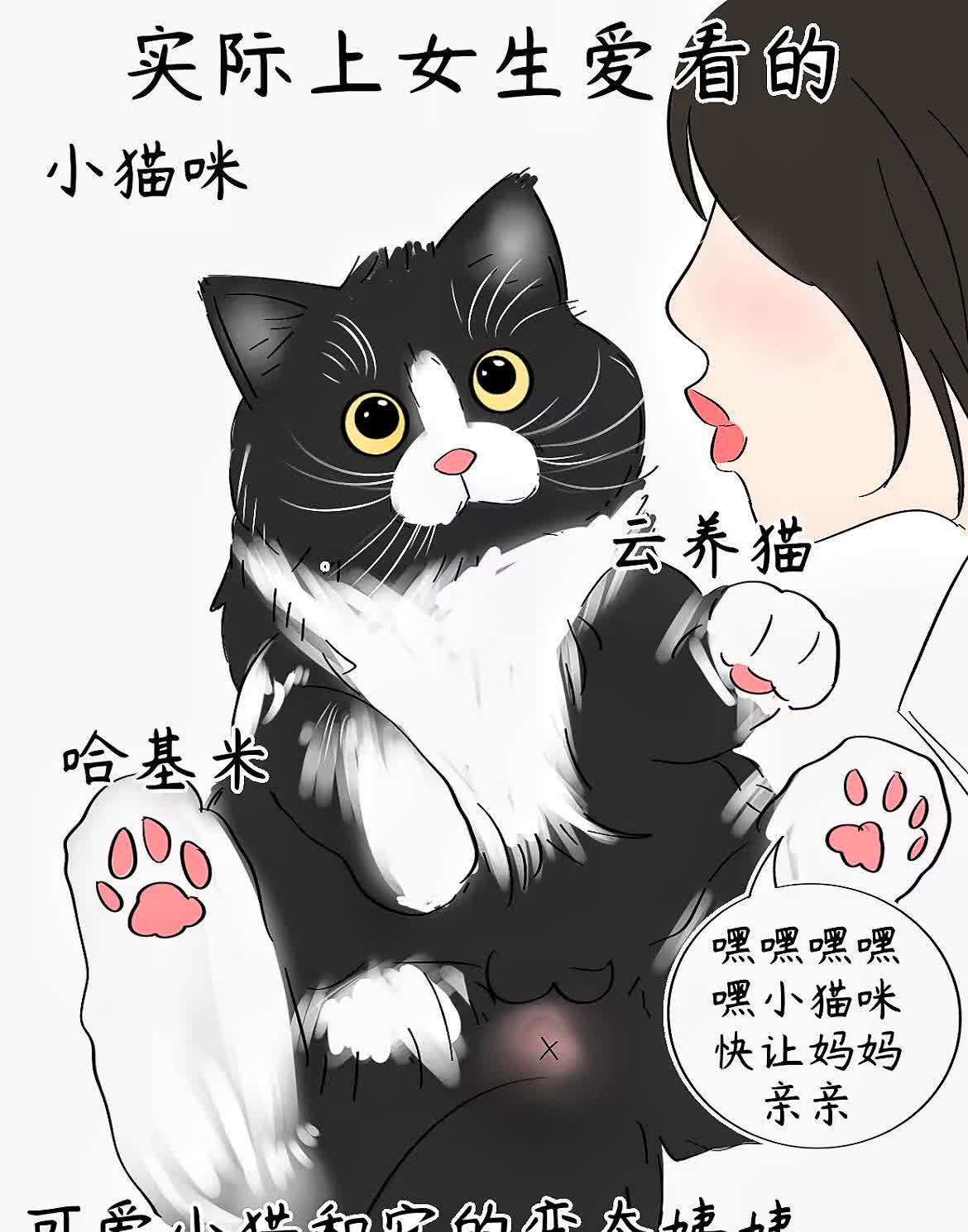 你以为女生爱看擦边男,腹肌男,实际上女生爱看小猫和抽象主播,修马蹄
