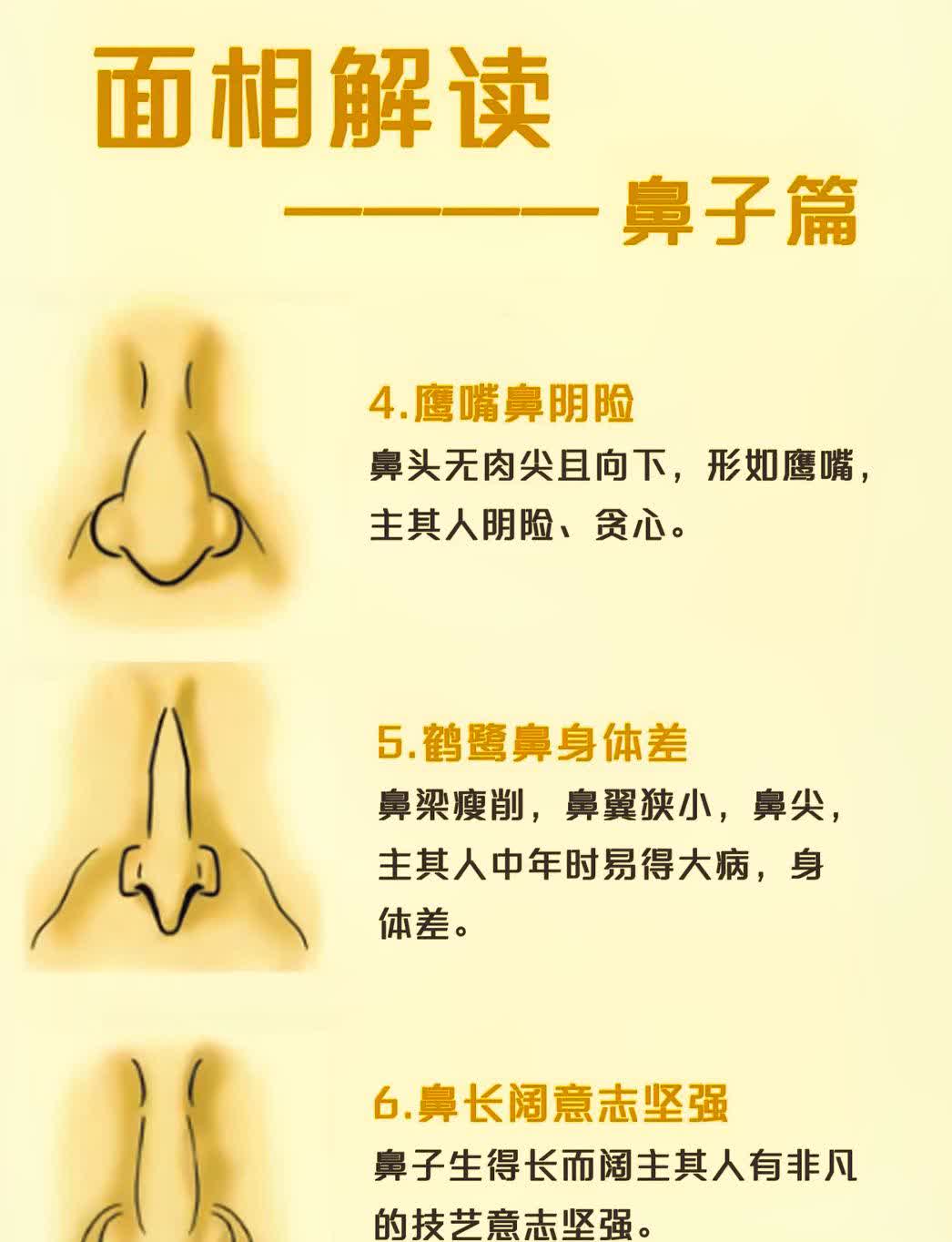 面相解读:鼻相各异,蝶螂鼻命差,狮鼻富贵,缩囊鼻老来福