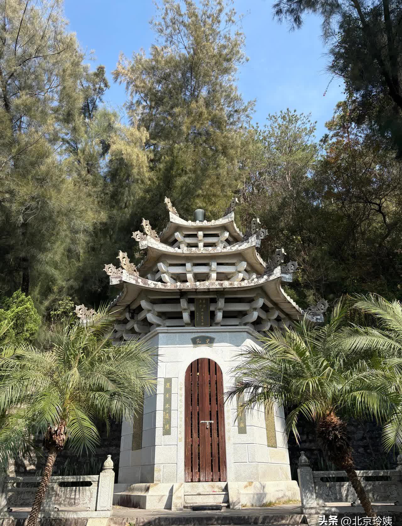 去年去西双版纳她不这样啊,才一年怎么这样了呢?