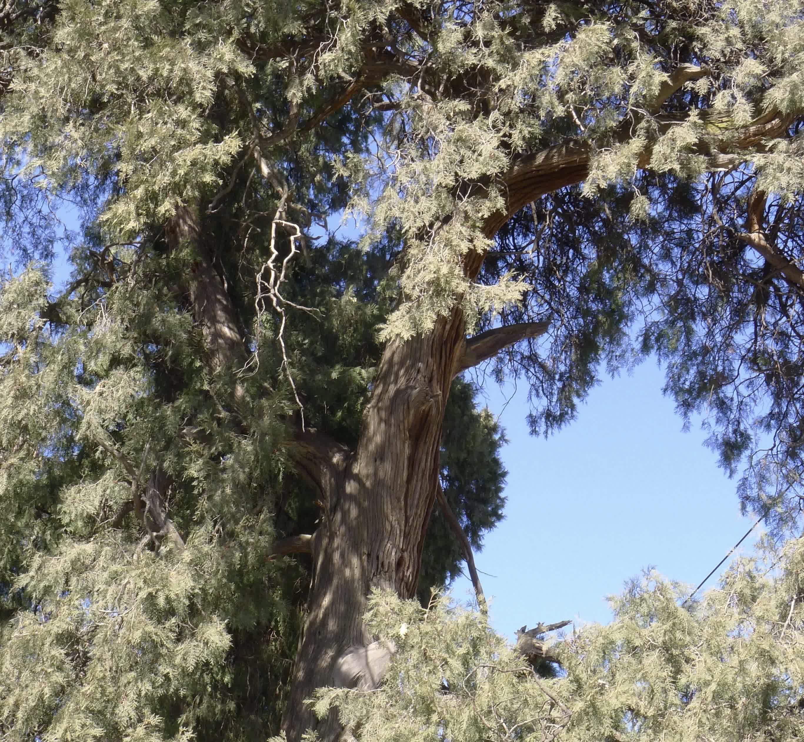 中午第一次请相亲对象吃饭,地方是她选的,但是这顿