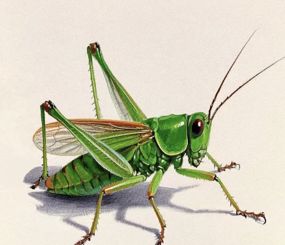 在草丛间,一只翠绿的蝈蝈静静伏着