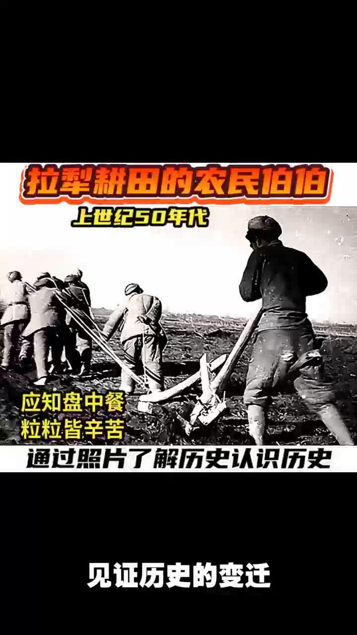 拉犁耕田的农民伯伯,50年代,珍惜每一粒粮食的辛勤劳作