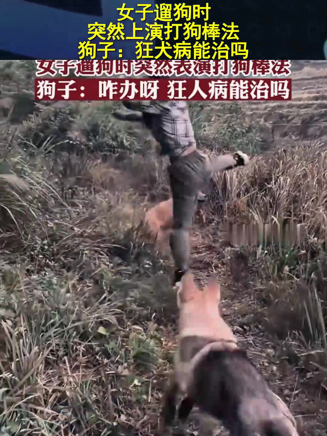 女子遛狗时,突然上演打狗棒法,狗子:狂犬病能治吗?